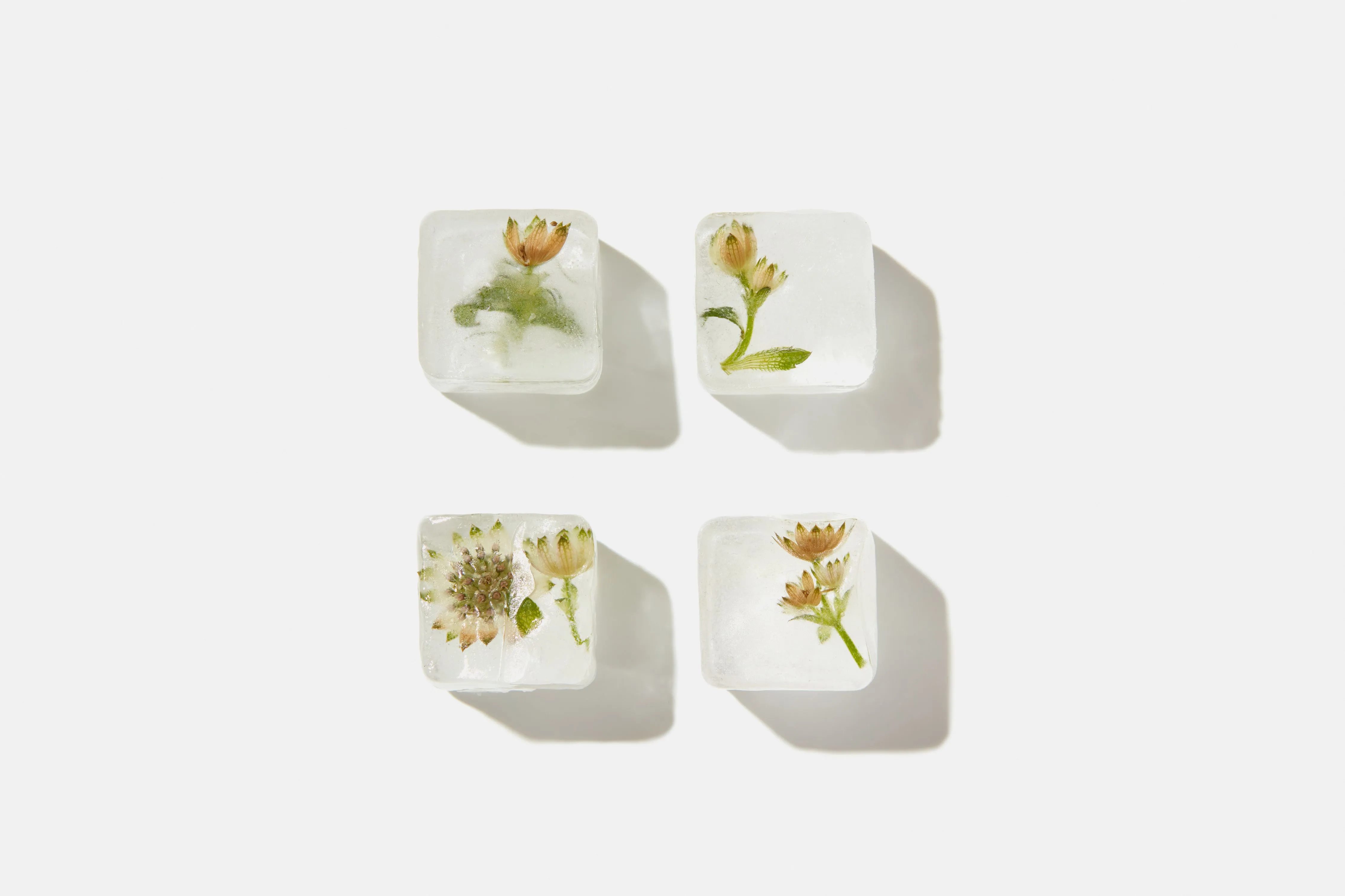 4 ice cubes with flowers in them
